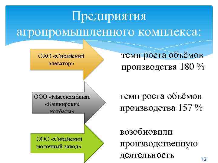 Предприятия агропромышленного комплекса: ОАО «Сибайский элеватор» темп роста объёмов производства 180 % ООО «Мясокомбинат