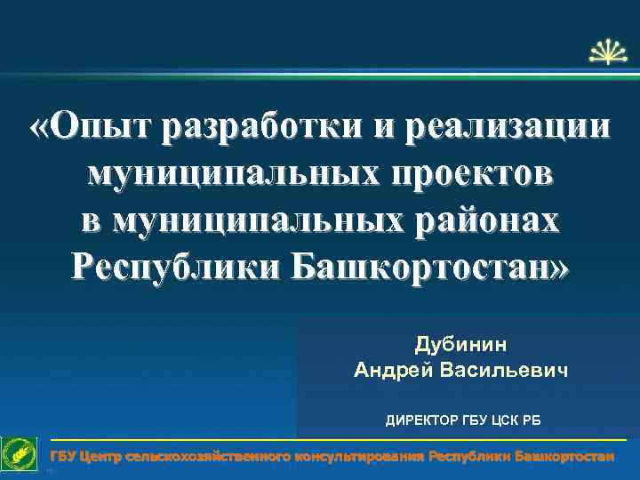  «Опыт разработки и реализации муниципальных проектов в муниципальных районах Республики Башкортостан» Дубинин Андрей