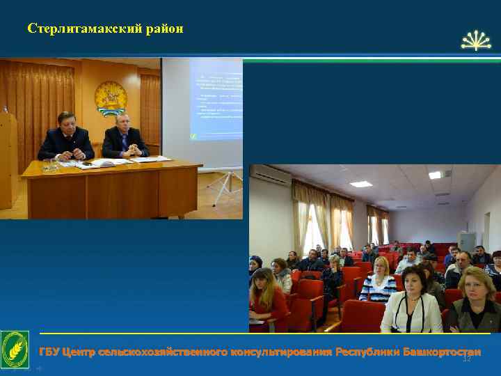 Стерлитамакский район ГБУ Центр сельскохозяйственного консультирования Республики Башкортостан 12 
