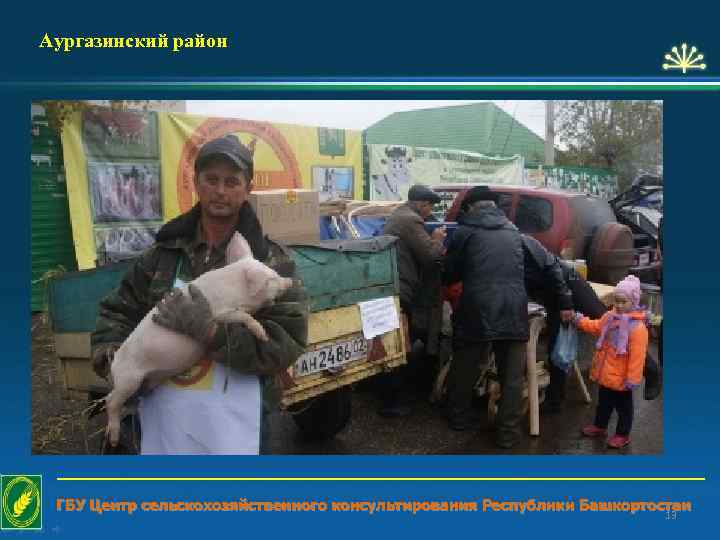 Аургазинский район ГБУ Центр сельскохозяйственного консультирования Республики Башкортостан 13 