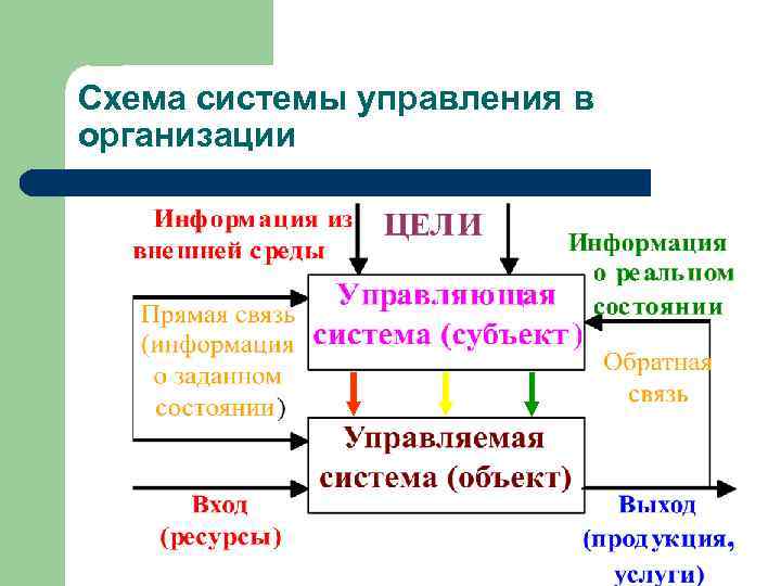 Схема системы управления в организации 