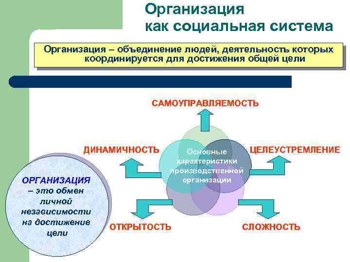 Организация как социальная система Организация – объединение людей, деятельность которых координируется для достижения общей