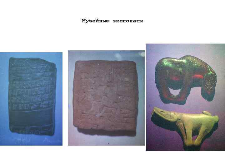 Музейные экспонаты 
