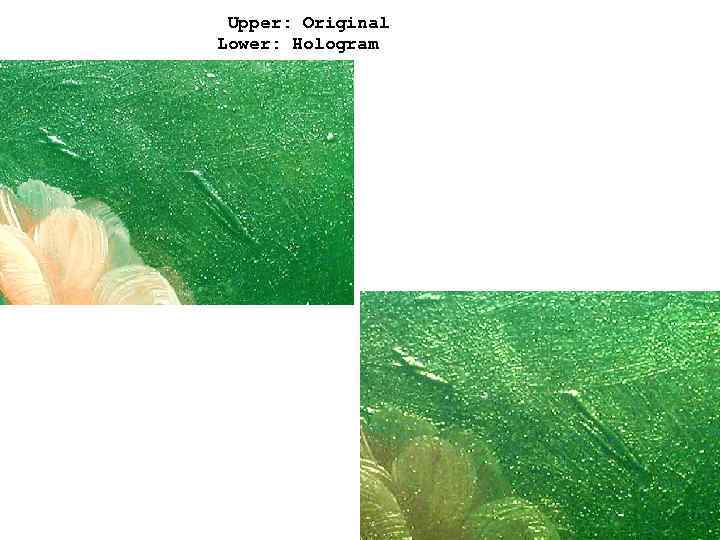 Upper: Original Lower: Hologram 