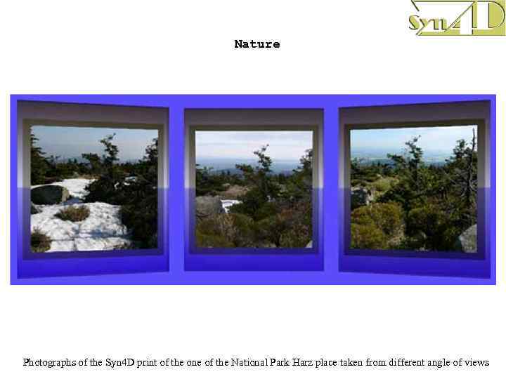 Nature Photographs of the Syn 4 D print of the one of the National