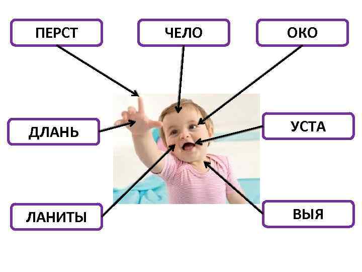 ПЕРСТ ЧЕЛО ОКО ДЛАНЬ УСТА ЛАНИТЫ ВЫЯ 