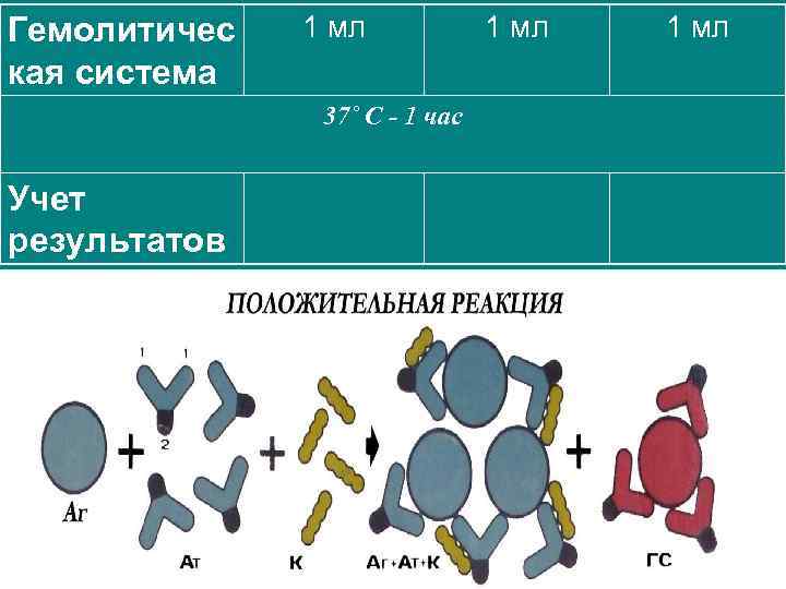 Гемолитичес кая система 1 мл 37˚ С - 1 час Учет результатов 1 мл
