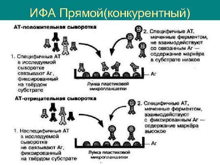 Схема неконкурентного ифа