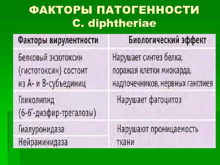 ФАКТОРЫ ПАТОГЕННОСТИ C. diphtheriae 