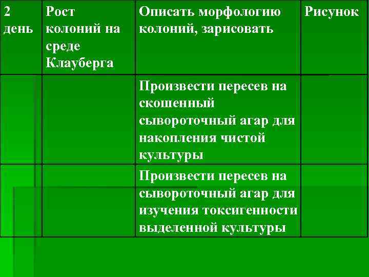 2 Рост день колоний на среде Клауберга Описать морфологию колоний, зарисовать Произвести пересев на