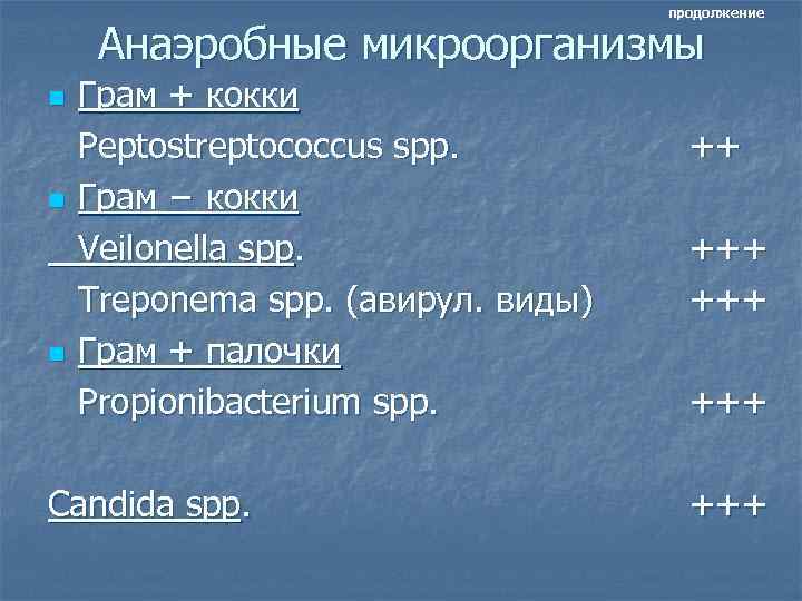 продолжение Анаэробные микроорганизмы n n n Грам + кокки Peptostreptococcus spp. Грам − кокки