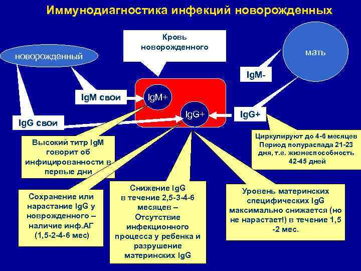 Иммунодиагностика инфекций новорожденных Кровь новорожденного новорожденный мать Ig. M- Ig. M свои Ig. G