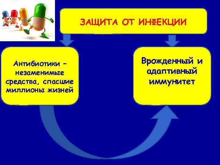 ЗАЩИТА ОТ ИНФЕКЦИИ Антибиотики – незаменимые средства, спасшие миллионы жизней Врожденный и адаптивный иммунитет