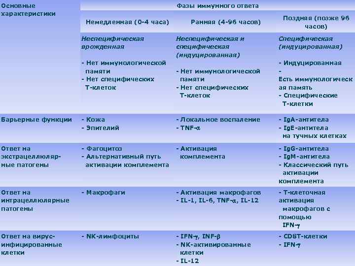 Основные характеристики Фазы иммунного ответа Немедленная (0 -4 часа) Неспецифическая врожденная - Нет иммунологической