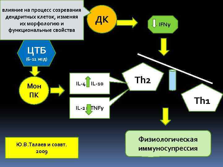влияние на процесс созревания дендритных клеток, изменяя их морфологию и функциональные свойства ДК IFNγ