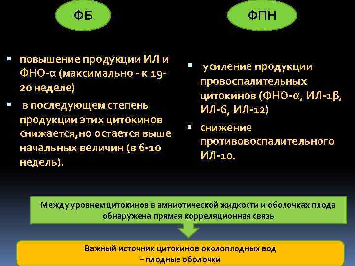 ФБ повышение продукции ИЛ и ФНО-α (максимально - к 1920 неделе) в последующем степень