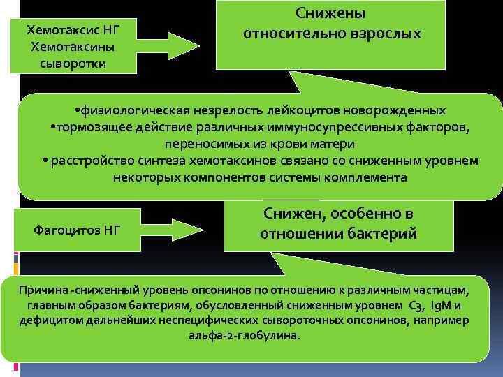 Хемотаксис НГ Хемотаксины сыворотки Снижены относительно взрослых • физиологическая незрелость лейкоцитов новорожденных • тормозящее