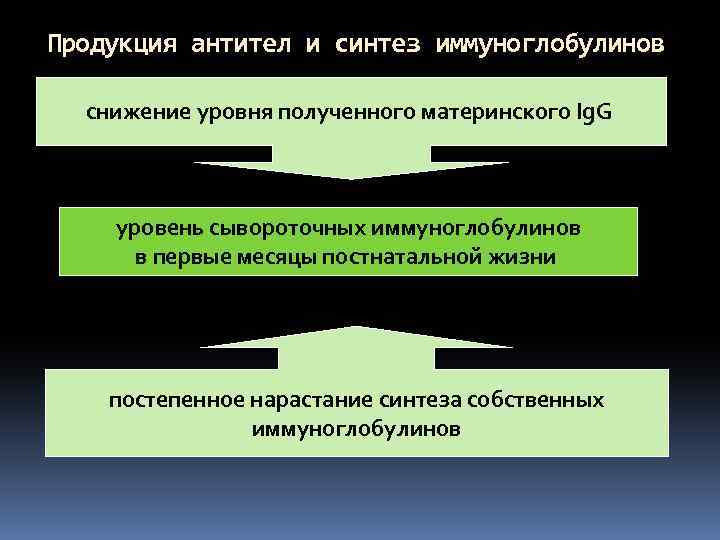 Продукция антител и синтез иммуноглобулинов снижение уровня полученного материнского Ig. G уровень сывороточных иммуноглобулинов