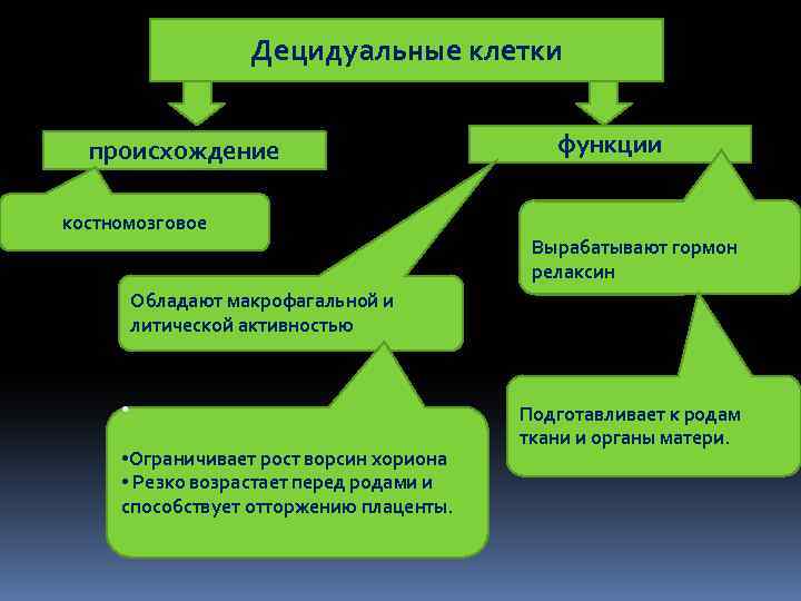 Появление функции