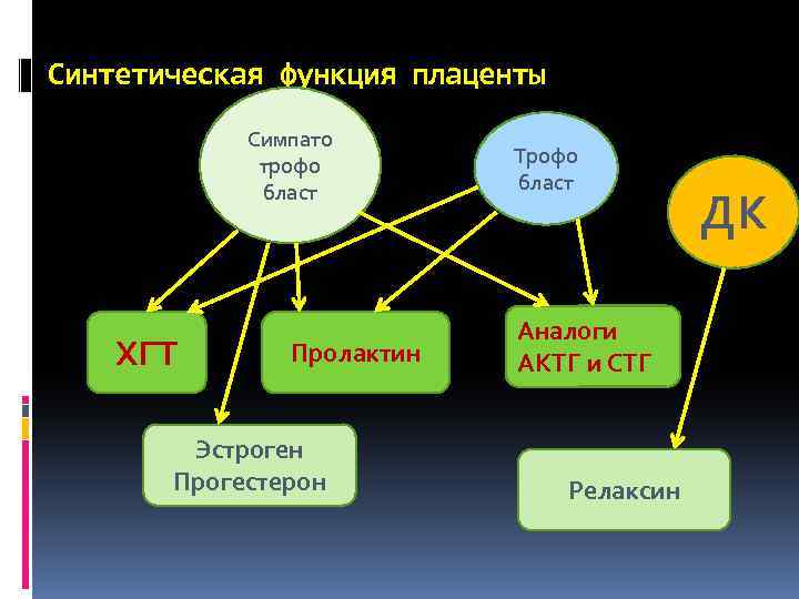 Синтетическая функция плаценты Симпато трофо бласт ХГТ Пролактин Эстроген Прогестерон Трофо бласт Аналоги АКТГ
