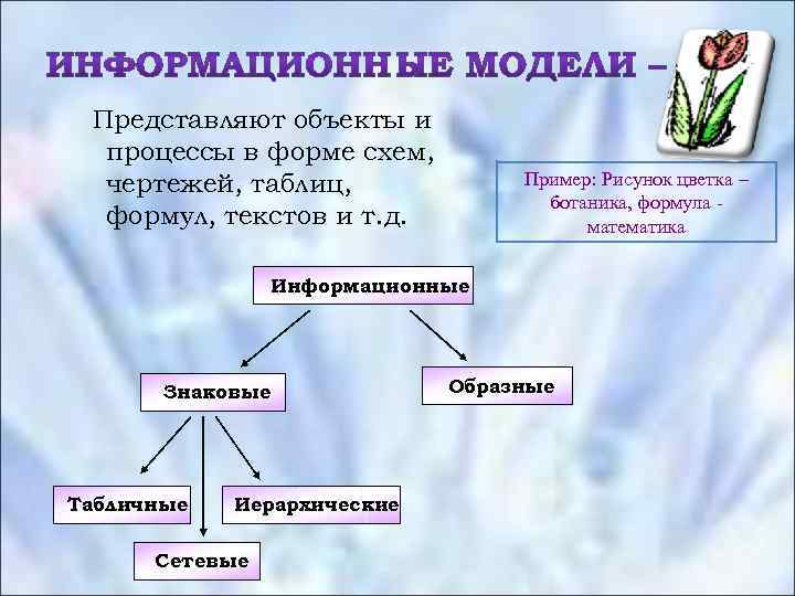Представляют объекты и процессы в форме схем, чертежей, таблиц, формул, текстов и т. д.