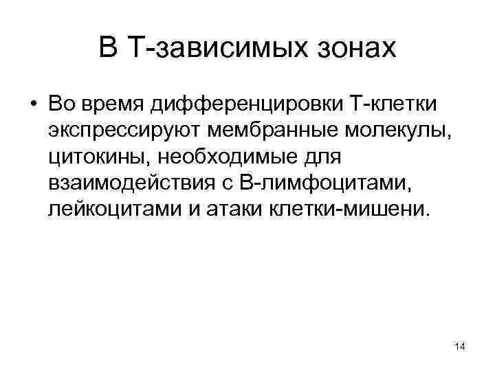 В Т зависимых зонах • Во время дифференцировки Т клетки экспрессируют мембранные молекулы, цитокины,