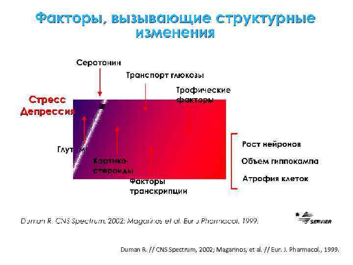 Duman R. // CNS Spectrum, 2002; Magarinos, et al. // Eur. J. Pharmacol. ,