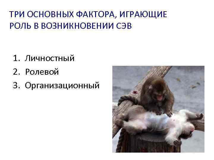 ТРИ ОСНОВНЫХ ФАКТОРА, ИГРАЮЩИЕ РОЛЬ В ВОЗНИКНОВЕНИИ СЭВ 1. Личностный 2. Ролевой 3. Организационный