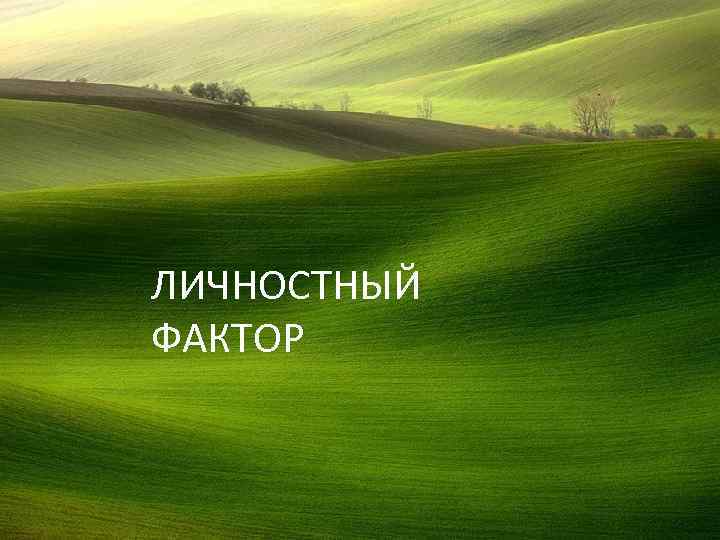 ЛИЧНОСТНЫЙ ФАКТОР 