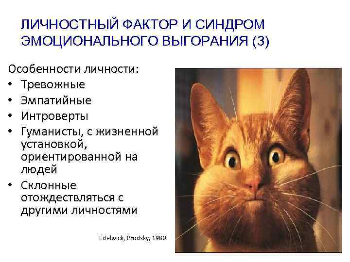 ЛИЧНОСТНЫЙ ФАКТОР И СИНДРОМ ЭМОЦИОНАЛЬНОГО ВЫГОРАНИЯ (3) Особенности личности: • Тревожные • Эмпатийные •