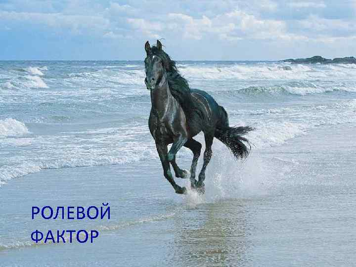 РОЛЕВОЙ ФАКТОР 