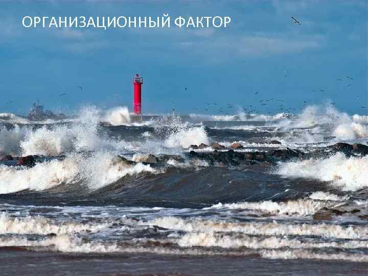 ОРГАНИЗАЦИОННЫЙ ФАКТОР 