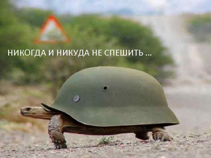 НИКОГДА И НИКУДА НЕ СПЕШИТЬ … 