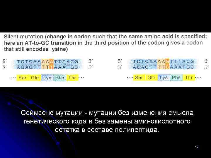 Сеймсенс мутации - мутации без изменения смысла генетического кода и без замены аминокислотного остатка