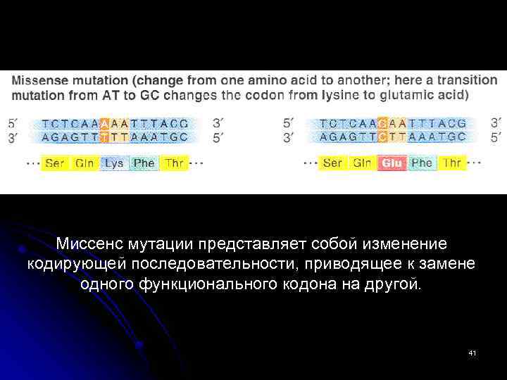 Миссенс мутации представляет собой изменение кодирующей последовательности, приводящее к замене одного функционального кодона на
