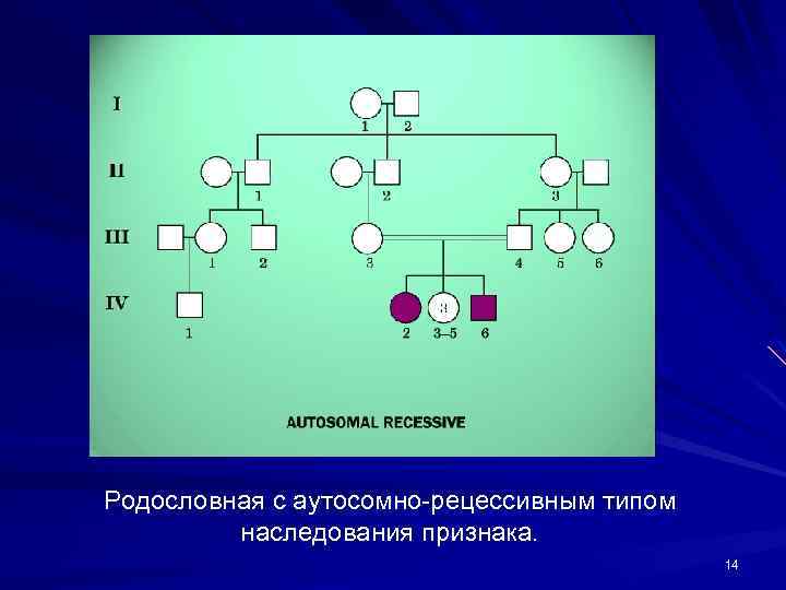 Аутосомно рецессивный тип наследования