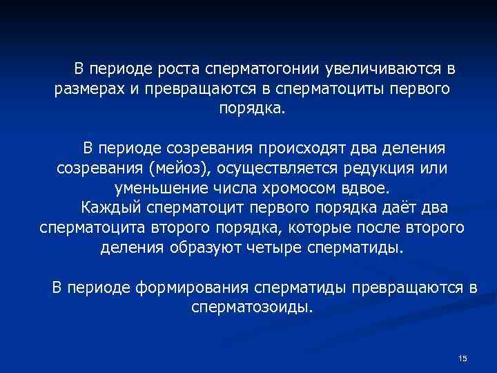 В периоде роста сперматогонии увеличиваются в размерах и превращаются в сперматоциты первого порядка. В