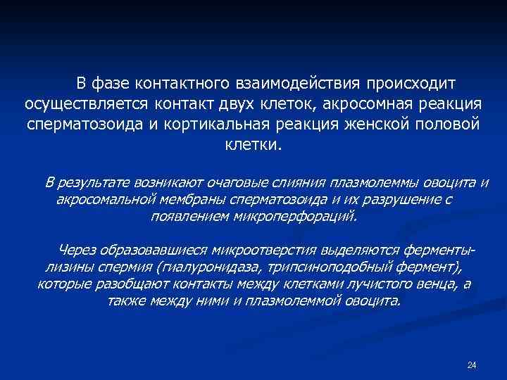 В фазе контактного взаимодействия происходит осуществляется контакт двух клеток, акросомная реакция сперматозоида и кортикальная