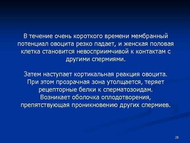 В течение очень короткого времени мембранный потенциал овоцита резко падает, и женская половая клетка