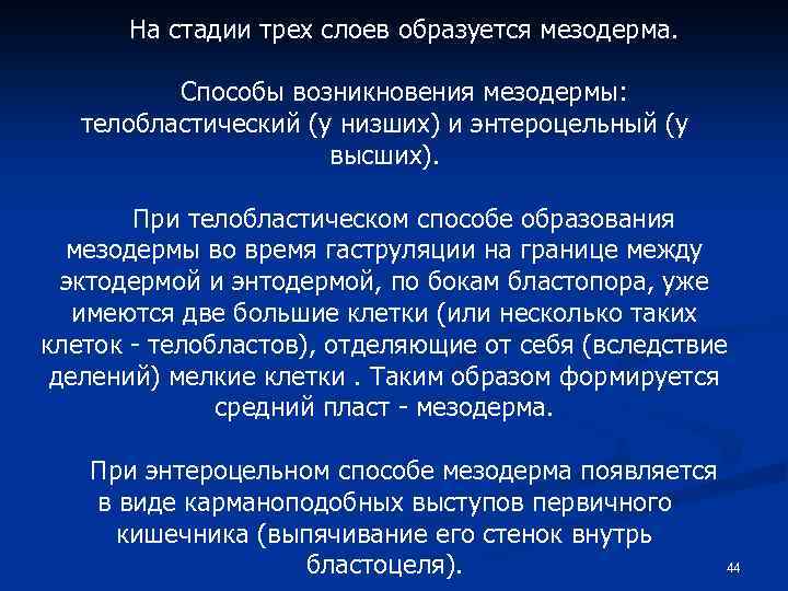 На стадии трех слоев образуется мезодерма. Способы возникновения мезодермы: телобластический (у низших) и энтероцельный