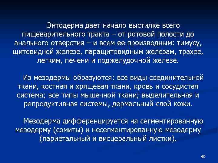 Энтодерма дает начало выстилке всего пищеварительного тракта – от ротовой полости до анального отверстия