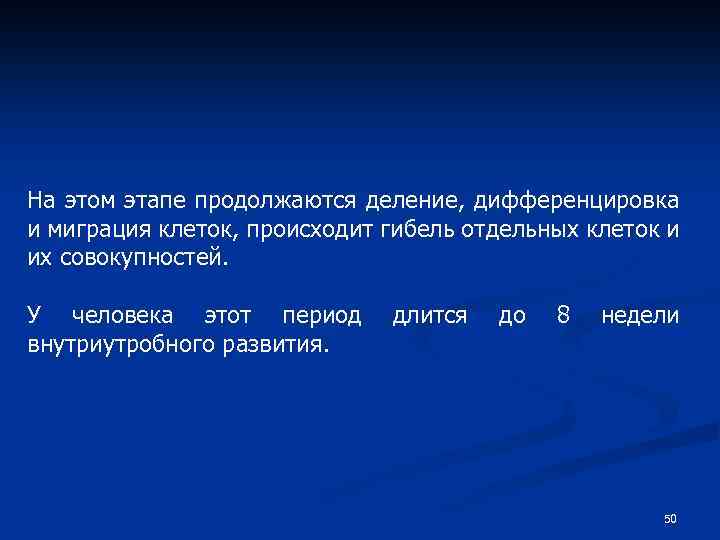 На этом этапе продолжаются деление, дифференцировка и миграция клеток, происходит гибель отдельных клеток и