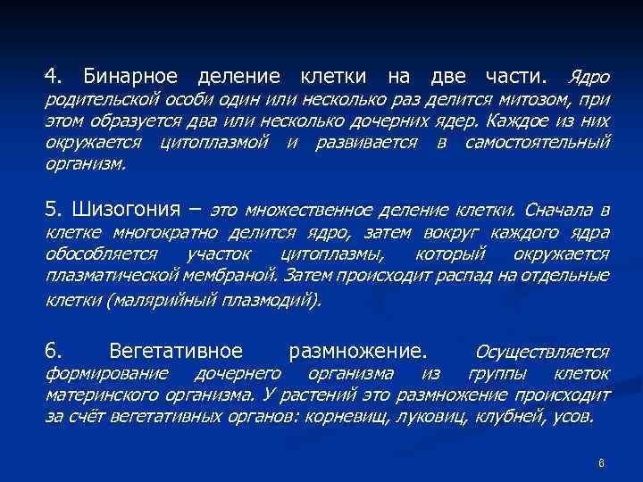 4. Бинарное деление клетки на две части. Ядро родительской особи один или несколько раз