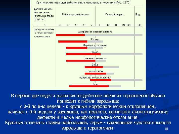 В первые две недели развития воздействие внешних тератогенов обычно приводит к гибели зародыша; с