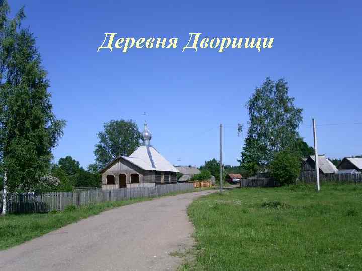 Деревня Дворищи 