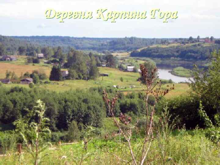 Карпина гора новгородская область