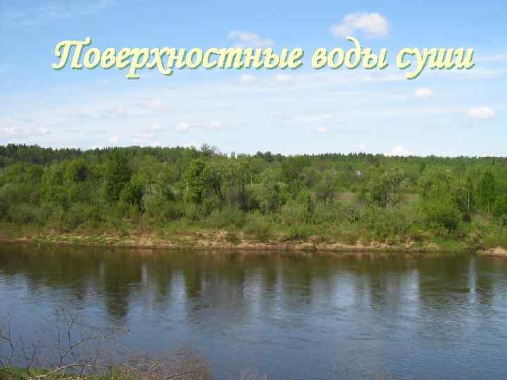 Поверхностные воды суши 
