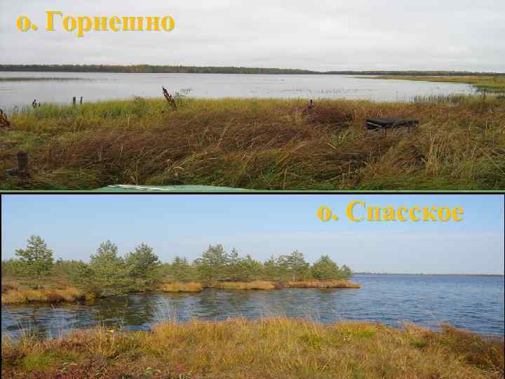 о. Горнешно о. Спасское 