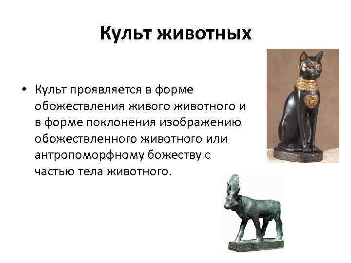 Культ животных • Культ проявляется в форме обожествления живого животного и в форме поклонения