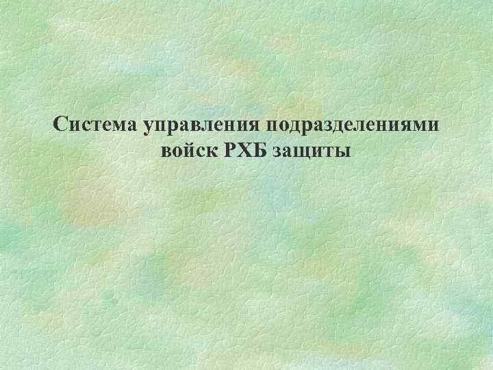 Система управления подразделениями войск РХБ защиты 